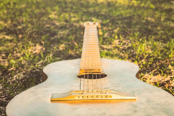 Çim yaz akustik gitar — Stok fotoğraf