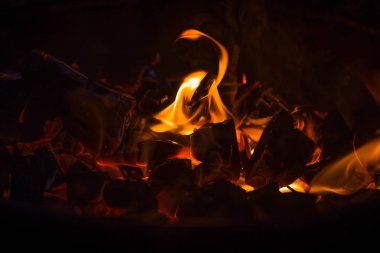 Bir Barbekü, ormanın içinde şehir dışında bir yürüyüş içinde yanan ateş