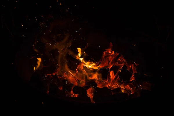 Fire Burning Barbecue Hike City Forest — Stock Photo, Image