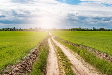 Alanda güneşli bir günde geçen yol