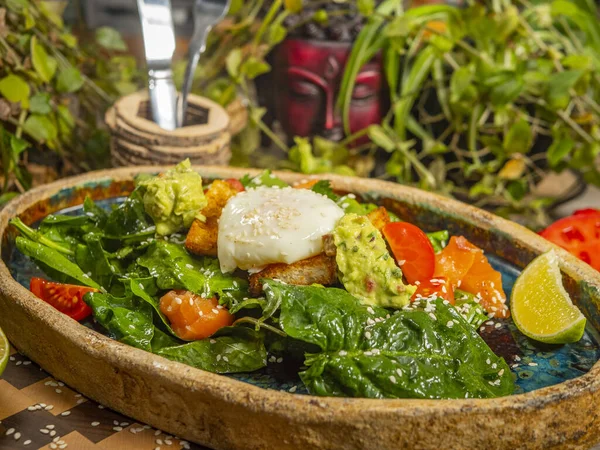 Ensalada sabrosa con huevo, tomate, salsa de guacamole, con galletas saladas, lima y hierbas en un plato artesanal —  Fotos de Stock