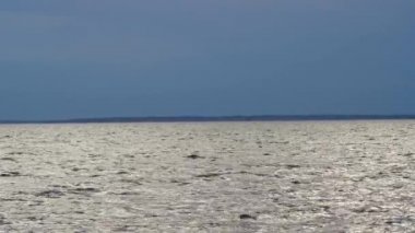 Büyük bir alacakaranlık deposu. Su dalgaları, rüzgarlı hava