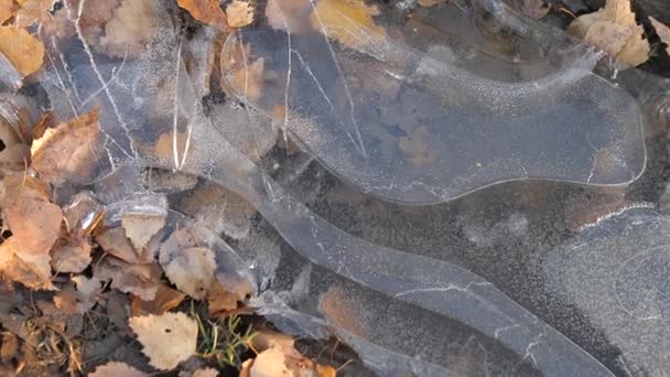 Une Flaque Gelée Recouverte Une Fine Couche Glace — Video