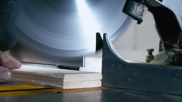 Carpenter Makes Wooden Panel Gluing Slats Plywood Workshop — Stock Video