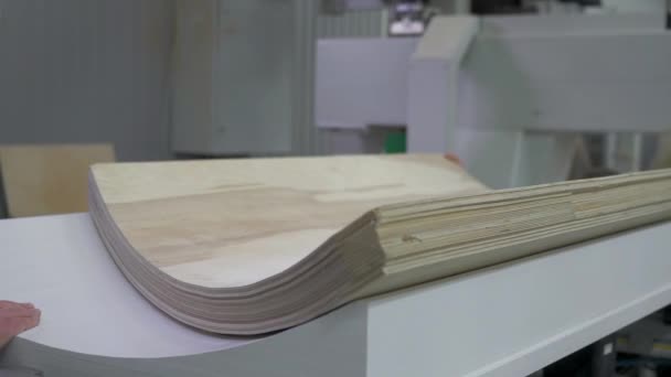 Чоловік Працює Деревообробній Машині Оператор Сучасного Верстата Виробництві — стокове відео