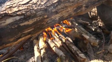 Piknikte şenlik ateşi yanar. Kamp, yürüyüş. Parlak yaz günü