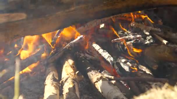 焚き火はピクニックで燃える キャンプ ハイキング 明るい夏の日 — ストック動画