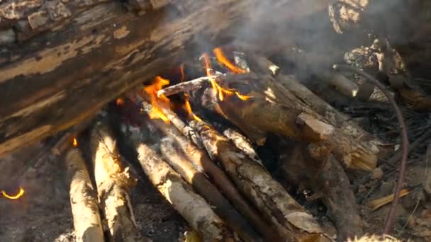 Bonfire Burns Picnic Camping Hiking Bright Summer Day — Stock Video