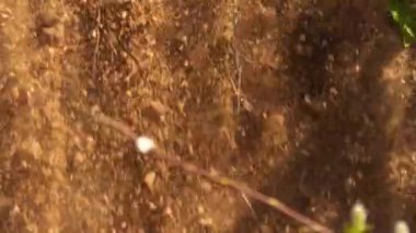 Çamur hızlanır. Kaya gibi. Turun heyelan kayması. Güneşli yaz günü