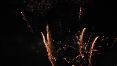 Bir müzik festivalinde dans eden bir kalabalık. Koridorda bir parti var.