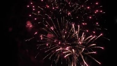 Bir müzik festivalinde dans eden bir kalabalık. Koridorda bir parti var.