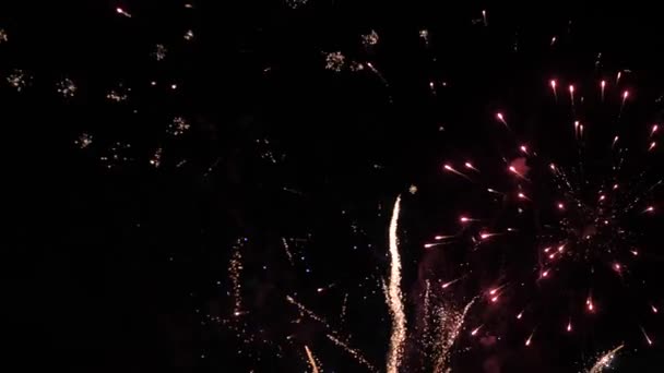 Una Folla Persone Che Ballano Festival Musicale Una Festa Nella — Video Stock