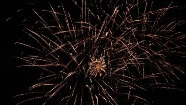 Una Multitud Personas Bailando Festival Música Una Fiesta Pasillo — Vídeo de stock