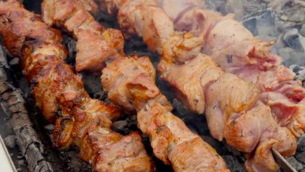 Cocina Barbacoa Aire Libre Una Barbacoa Con Brasas Calientes Día — Vídeos de Stock