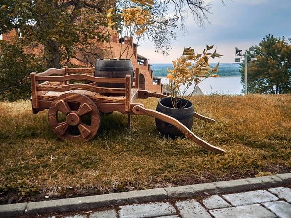 Holzwagen Antiken Stil Zwei Fässer Mit Pflanzen Tag Stockbild