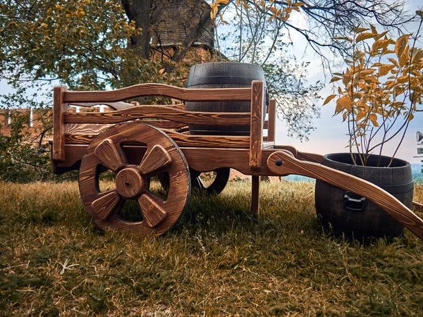 Holzwagen Antiken Stil Zwei Fässer Mit Pflanzen Tag — Stockfoto