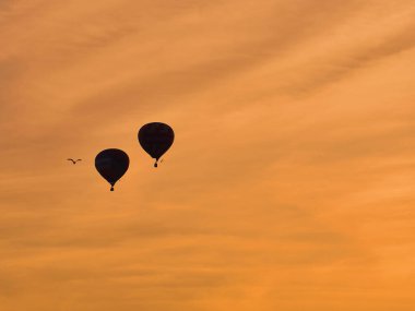 Balonlar şehrin üzerinde uçar. Sıcak bir yaz akşamı. Balon Festivali. İyi akşamlar.