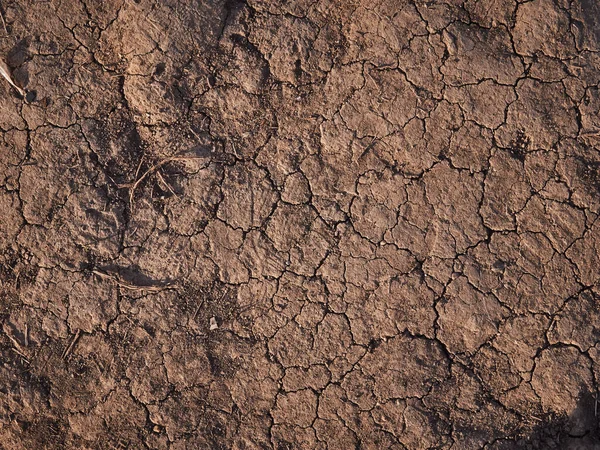 Textura Suelo Seco Con Grietas Fondo Lago Seco Para Diseño — Foto de Stock