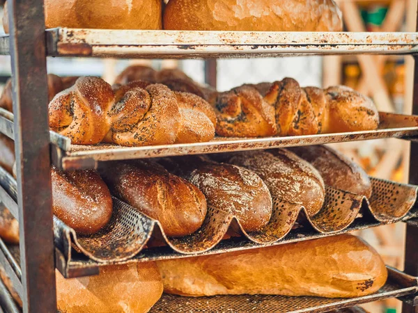 Frisch Gebackenes Brot Auf Blechen Selbstversorger Supermarkt lizenzfreie Stockbilder