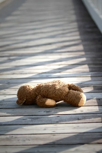 Ours en peluche solitaire et ombre géométrique Images De Stock Libres De Droits