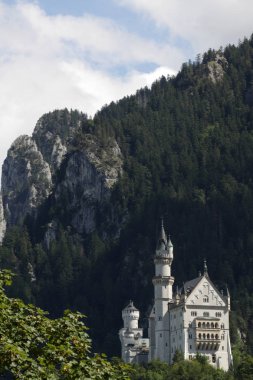 Peri Neuschwanstein Şatosu Almanya