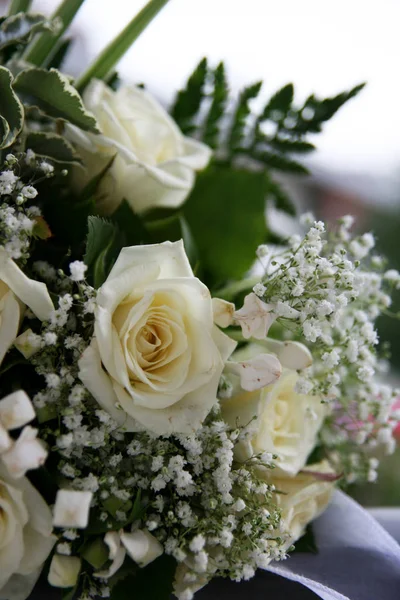 Bukiet Białych Róż — Zdjęcie stockowe