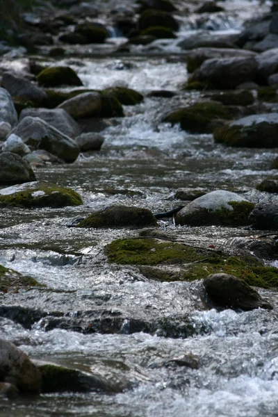 新鮮なアルプス山川 — ストック写真
