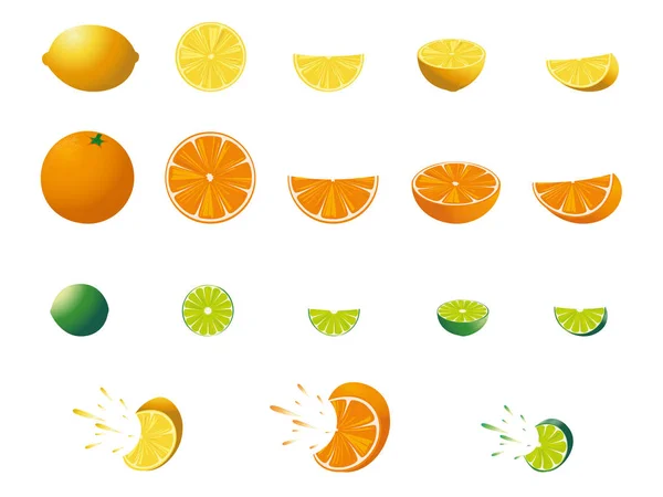 Čerstvé citrusové plody. Vektorové ilustrace. — Stockový vektor