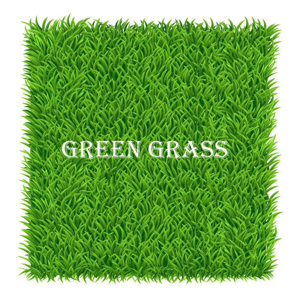 Green grass background. Lawn nature. Abstract field texture. Symbol of summer, plant, eco and natural, growth or fresh. Design for card, banner. Meadow template for print products. Vector Illustration