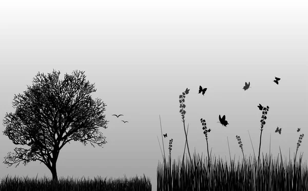 Silhuett av träd och fåglar på den vita bakgrunden. — Stock vektor