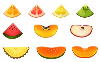 Meyve dilimleri veya meyve parçaları. Vektör çizim.