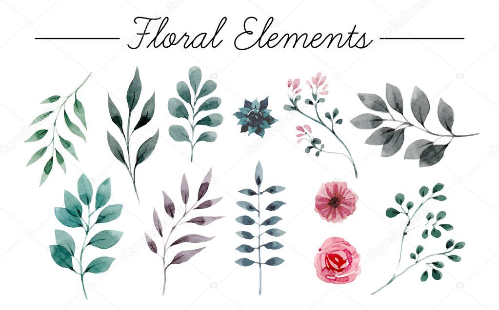 Set of flowers painted in watercolor on white paper. Sketch of flowers and herbs. Wreath, garland of flowers. Vector watercolor