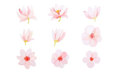 Pink watercolor flower collection. Vector illustration. clipart