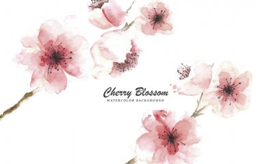 Çiçeği çiçek izole vektör bahar tebrik kartı tasarımı, botanik illüstrasyon, doğa afiş için suluboya tarzında çizilmiş ayarla.