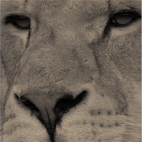 Рука намальована голова лева. Див. також інші тварини — стоковий вектор
