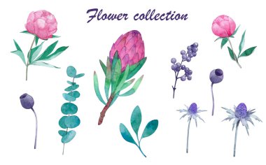 Pembe şeftali gül çiçek buketi mavi berry Dalı, orman fern vektör çiçek büyük öğe küme, ağaç Güz sanat yeşillik eşyaları suluboya tarzı koleksiyonunda bırakır. Dekoratif şık illüstrasyon