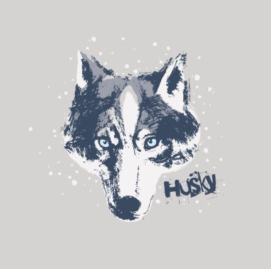 Husky köpek namlu