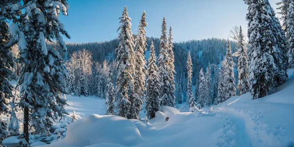 Kış manzara dağ bakan orman Vadisi. Panoramik fotoğraf.