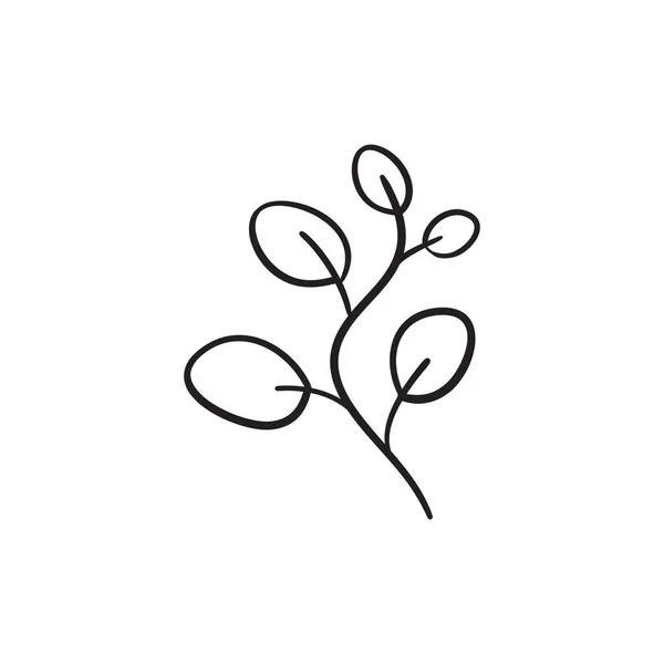 Απλό Κλαδί Ζωγραφισμένο Στο Χέρι Φύλλα Στυλ Doodle Εικόνα Απομονωμένη — Διανυσματικό Αρχείο