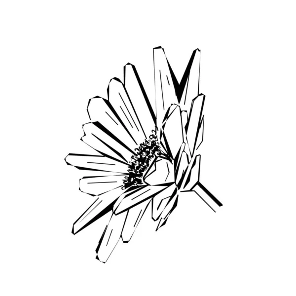Άνοιξη Λουλούδι Στοιχείο Σχεδιασμού Λουλούδι Στο Στυλ Σκίτσο Που Απομονώνονται — Διανυσματικό Αρχείο