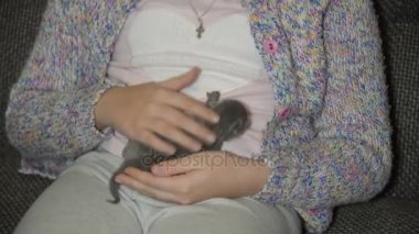 Bugün tarihi bir çocuk bir avuç boyutunu küçük kör kedi yavrusu