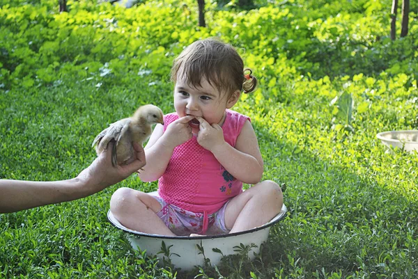 Ребенок играет с курицей — стоковое фото