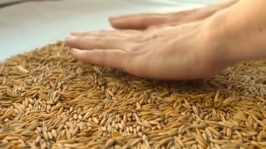 Kız bir tanesi eller dokundu