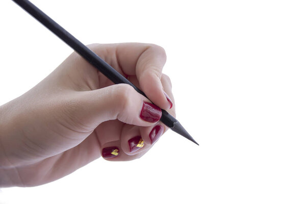 hand holds a pencil on a white background