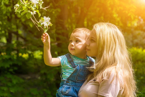 Criança Nas Mãos Mãe Árvores Floridas Parque Verão Tempo Ensolarado — Fotografia de Stock