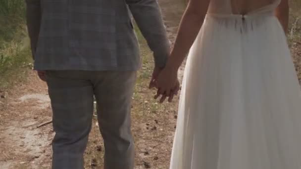 Bride Groom Walk Green Park Summer Warm Weather — Stock Video