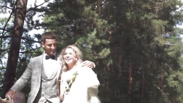 Menyasszony Vőlegény Sétálni Egy Zöld Parkban Nyáron Meleg Időben — Stock videók