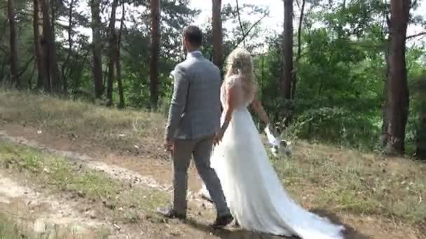 Bruid Bruidegom Voor Een Wandeling Een Groen Park Zomer Bij — Stockvideo