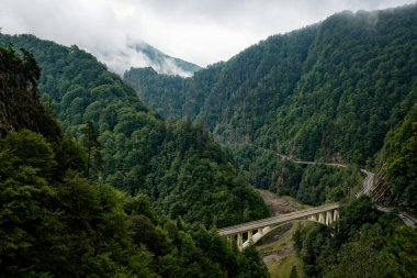 Yeşil vadisinde bir yol ve köprü ile Romanya Karpatlar