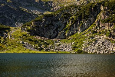 Romanya yüksek dağların buzul Gölü ile otlatma koyun sürüsü